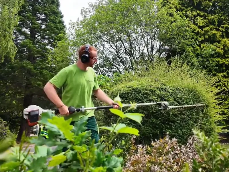 hedge-trimming